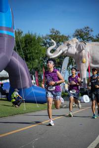 BIB: 
                            <button type="button" onclick="openModal(26542217)" class="btn btn-primary btn-sm float-right btn-popup" data-toggle="modal" data-target=".modal-high-quality">
                        <i class="fas fa-shopping-cart"></i> Add to Cart
                    </button>
                                            <button type="button" onclick="isThisMe(26542217, true)" class="btn btn-success btn-sm float-right btn-popup btn-isme hidden" data-toggle="tooltip" data-placement="bottom" title="นี่คือรูปของคุณใช่ไหม คลิกที่นี่เพื่อเอาเข้าอัลบั้ม">
                        <i class="fas fa-plus"></i> Add to album
                    </button>
                    <button type="button" onclick="isThisMe(26542217, false)" class="btn btn-warning btn-sm float-right btn-popup btn-isnotme hidden">
                        <i class="fas fa-ban"></i> Remove from album
                    </button>